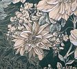 Пленительная грация 1